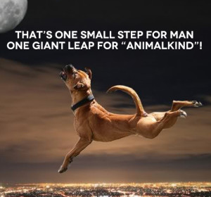 DogTheMoon