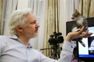 assange
