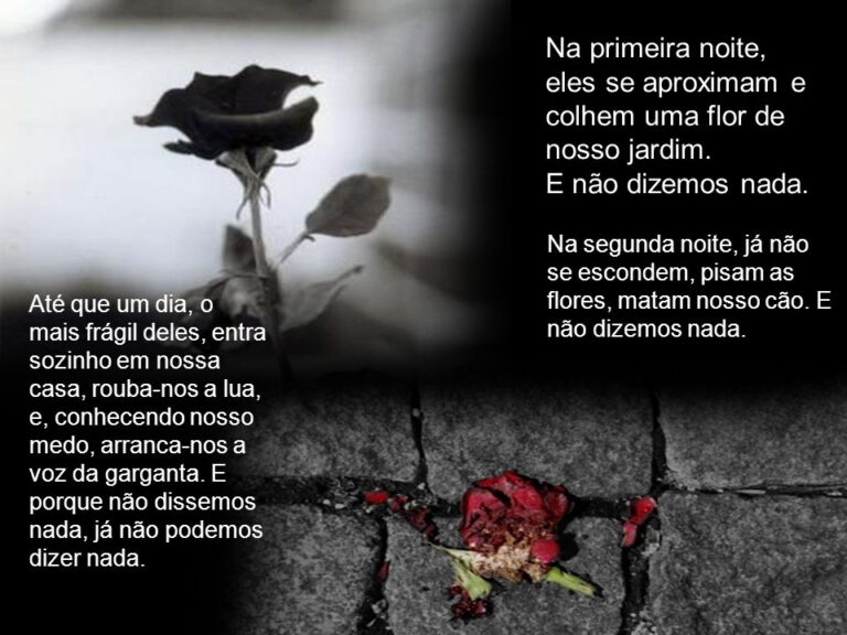 O terceiro lado da moeda (por Anabela Ferreira)