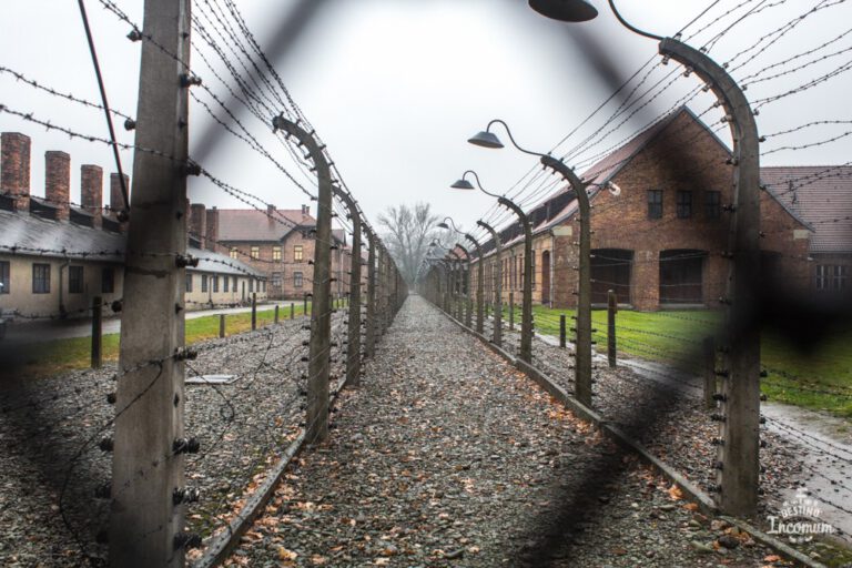 “Não deverás ser uma vítima, não deverás ser um criminoso, mas acima de tudo nunca deverás ser um espectador”. Inscrição no Museu do Holocausto em Washington. (por Anabela Ferreira)